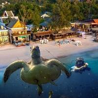 Diving and hotel